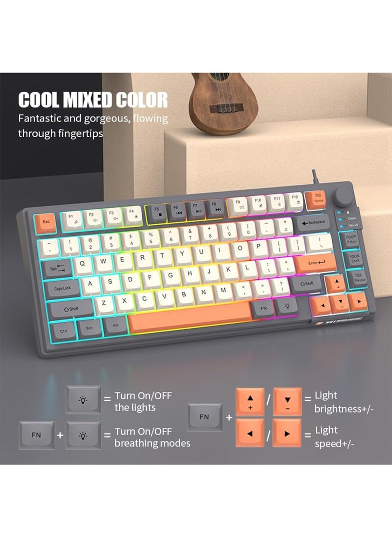 Aookay [Upgraded] Arabic and English Wired Gaming Keyboard, 81-key Silent Keyboard with Adjustable RGB Rainbow Backlit and Independent Volume Adjustment Knob Keyboard for Office and Games (Gray)  - Image 3