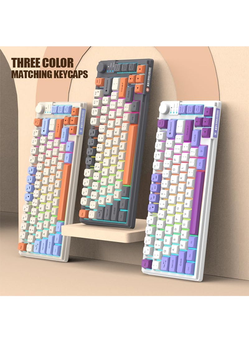 Aookay - [Upgraded] Arabic and English Wired Gaming Keyboard, 81-key Silent Keyboard with Adjustable RGB Rainbow Backlit and Independent Volume Adjustment Knob Keyboard for Office and Games (Gray) - Image 1
