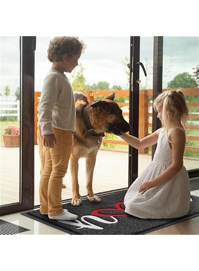 TRASSLE Door Mat, Welcome Mat Low Profile Floor Mat Front Doormat Non Slip Mats for Entryway, Patio, High Traffic Areas - Image 2