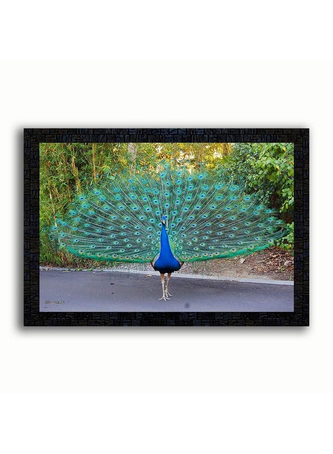PNF Generic PNF Birds Peacock with Wooden Synthetic Frame Painting (14 x 20 inch, Multicolor, Medium) - Image 1