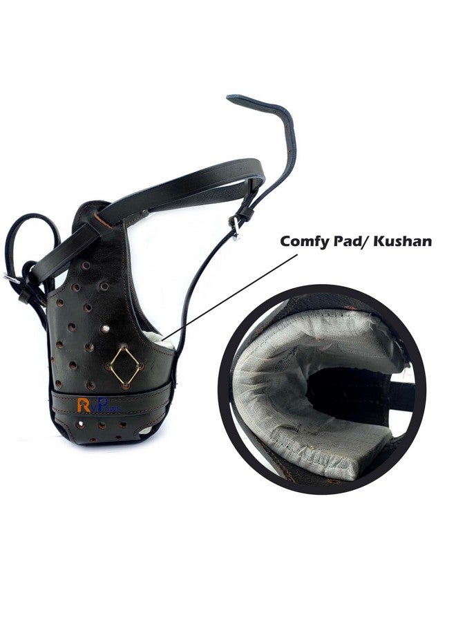 كمامة جلدية للكلاب من فصيلة الراعي الألماني كبيرة الحجم، كمامة جلدية شديدة التحمل - مقاس كبير جدًا - Image 5