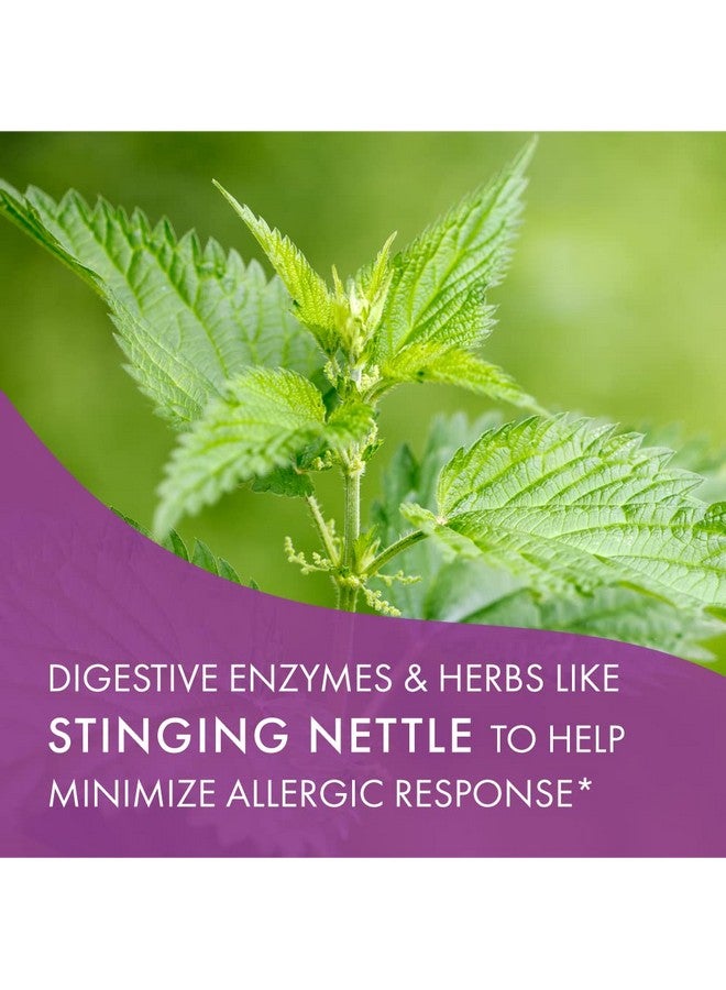 PURE ESSENCE LABS Allerfree Natural Allergy Support Supplement Non Drowsy Pills For Sinus And Nasal Health Seasonal Allergies With Enzymes And Herbs 60 Capsules - Image 5