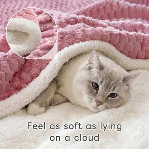 Gracelife Sherpa Throw Blanket for Couch Flannel Cozy Soft Thick Blanket Warm Twin Blanket for Bed Fleece Home Decor Gifts, Z01 - Pink, 60"*80" - Image 4