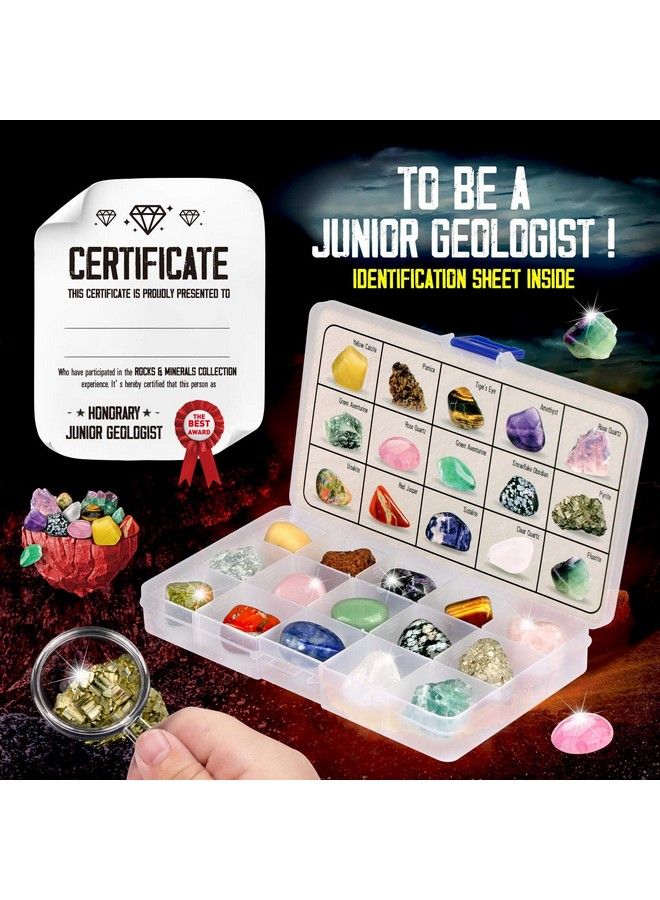 XX Toys Kids Rocks Collection 15Piece Rock Collections For Kids Cool Geology Gem Kit With Identification Sheet Gemstones Set Box With Learning Guide And Storage Case Educational Gift For Kids - Image 3