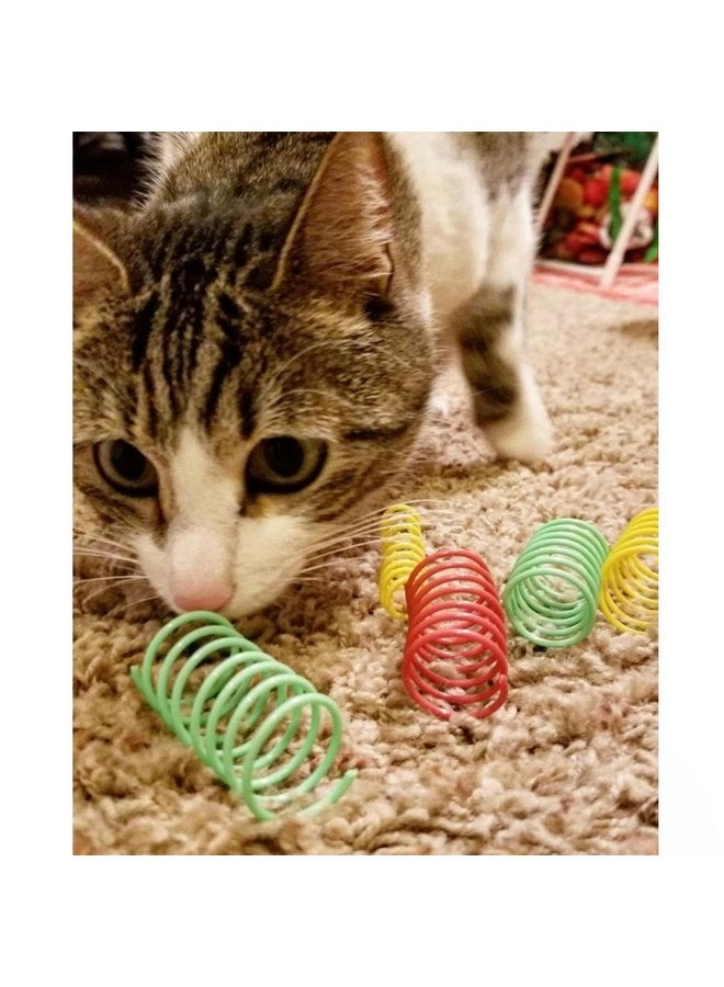 spot Ethical Pet Products Colorful Springs Wide Cat Toy 10 pack Scratchers and Toys10 - Image 3