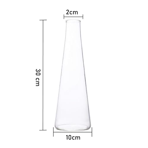 LABZIO Home Glass Vase for Flowers & Plants (Transparent, 30 cm X 10 cm) - Living Room Glass Vase Pot for Water Plants Home Decor Dining Table Decoration Bedroom Hall Aesthetic House Warming Gift - Image 2