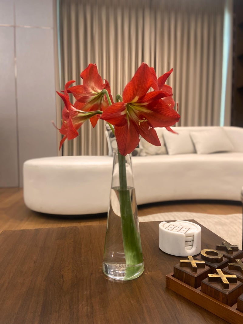 LABZIO Home Glass Vase for Flowers & Plants (Transparent, 30 cm X 10 cm) - Living Room Glass Vase Pot for Water Plants Home Decor Dining Table Decoration Bedroom Hall Aesthetic House Warming Gift - Image 5