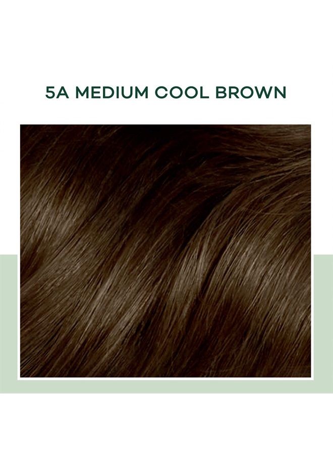 CLAIROL صبغة شعر دائمة شبه طبيعية، 5A بني بارد متوسط، 1 عد (عبوة من 3) - Image 2