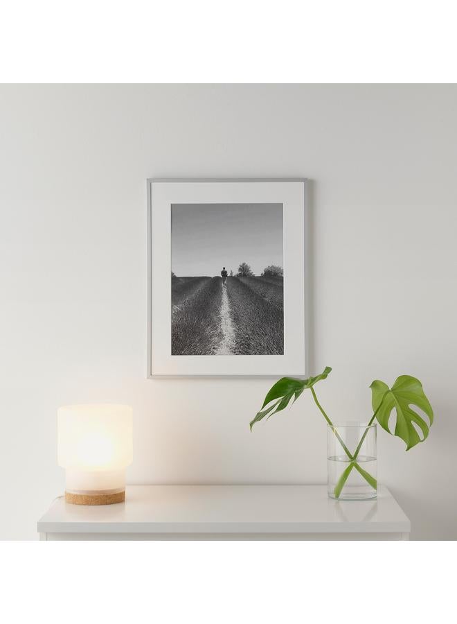 Zaboon Frame, Aluminium, 40X50 Cm - Image 2