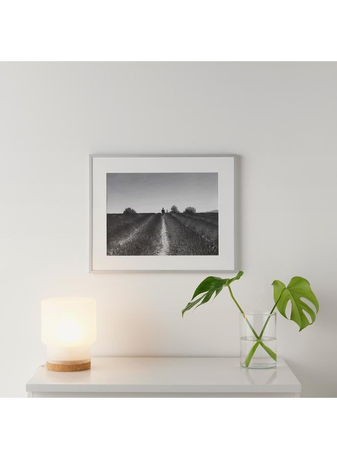 Zaboon Frame, Aluminium, 40X50 Cm - Image 5