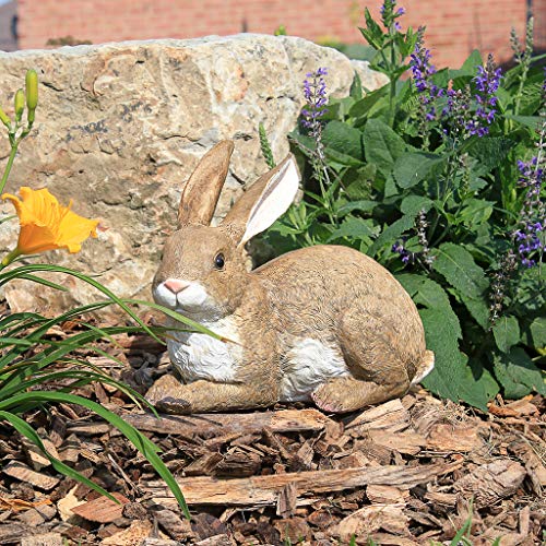 Design Toscano QM200861 Bashful The Bunny Lying Down Rabbit Outdoor Garden Statue, 10 Inch, full color - Image 2