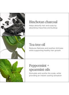 Briogeo Briogeo Scalp Revival Charcoal + Tea Tree Scalp Treatment, Scalp Serum to Soothe a Dry, Flaky, Itchy Scalp, Absorb Oil, Hydrate Dry Scalp, Clarify Build Up, Vegan, Cruelty-Free, 1 fl oz  - Image 5