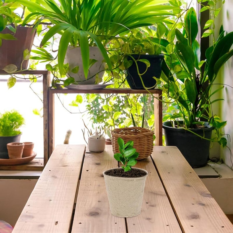 Biodegradable Plant Starter Pots 8X8Cm Large 70pcs Seedling Kit for Herb Flower Garden - Image 5