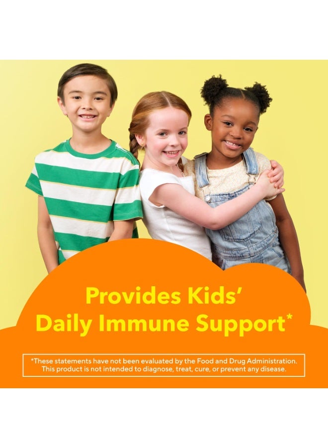 Lil Critters L'il Critters Kids Immune C | Vitamin C and Zinc Gummies | 190 Count | Assorted Fruit Flavors | Gluten and Dairy-Free Children's Gummy Supplement - Image 3