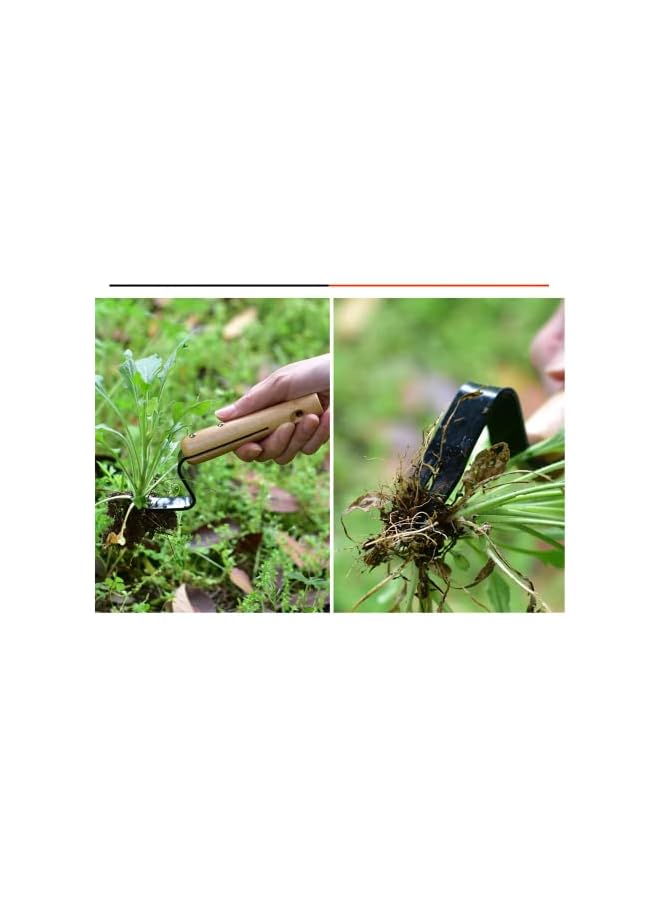PROMASS Weeder Hand Puller Tool, V-Shape Manual Weeders Weed Puller, Root Lifter for Gardening & Farming, Stainless Steel Weed Puller Hand Tool for Garden Caring to Remove Dandelions Thistles and Weeds - Image 5