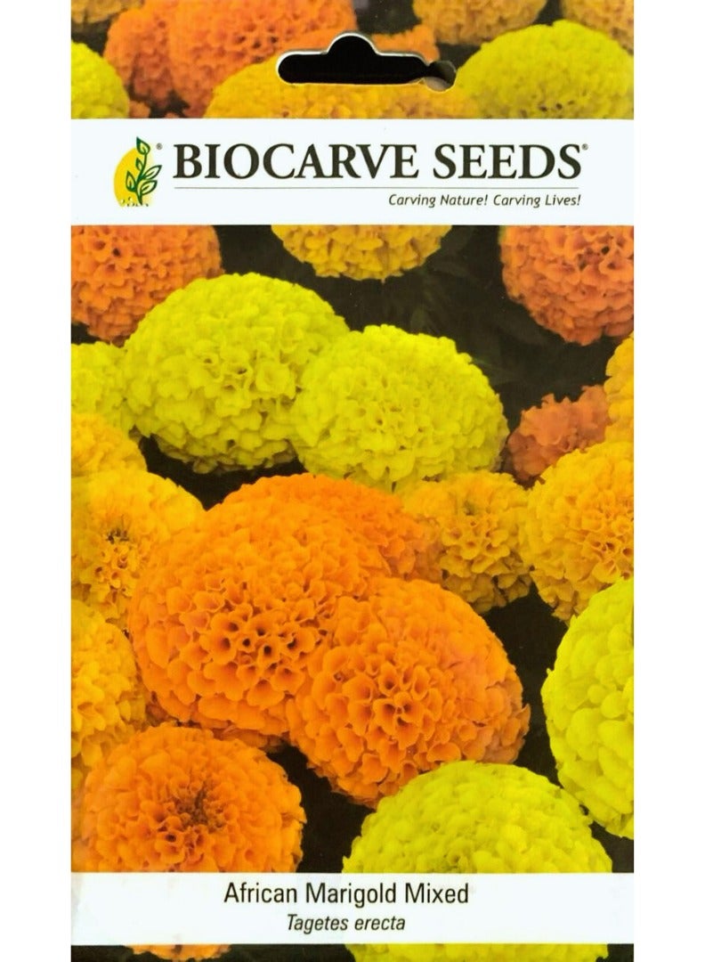 BIOCARVE SEEDS BIOCARVE Mix African Marigold (Tagetes ERECTA) Seeds