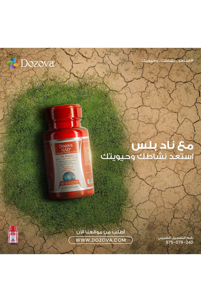 Dozova Wellness Bundle – KSM-66 Ashwagandha Root Extract 600mg (60 Veg Capsules) + Nicotinamide Riboside NAD+ 300mg (30 Capsules) – Stress Relief, Mood & Energy Support, Anti-Aging, Immune & Thyroid Health - Image 2