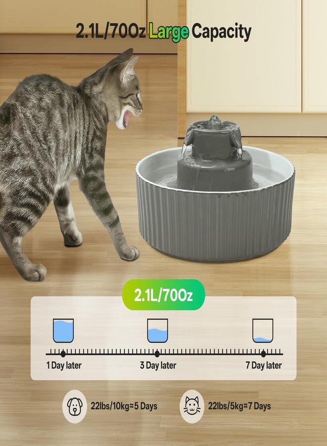 نافورة مياه سيراميك للقطط، سعة 2.1 لتر/70 أونصة، موزع مياه للحيوانات الأليفة من البورسلين مع 4 مجموعات من الفلاتر والإسفنج البديلة، وعاء مياه أوتوماتيكي للكلاب مع مضخة فائقة الهدوء، لوازم إطعام وسقي القطط (رمادي) - Image 2