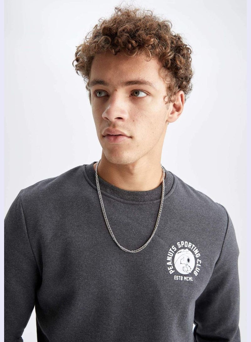 DeFacto Man Snoopy Licenced Slim Fit Crew Neck Long Sleeve Knitted Sweatshirt  - Image 4