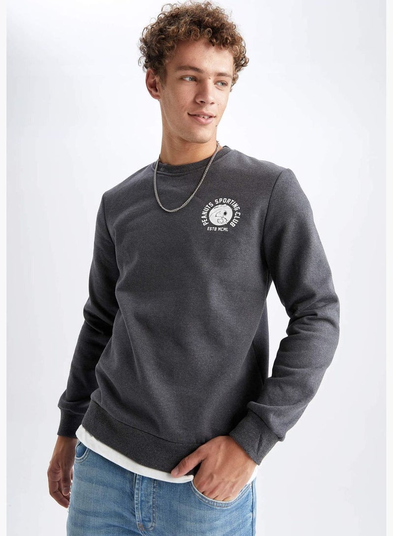 DeFacto Man Snoopy Licenced Slim Fit Crew Neck Long Sleeve Knitted Sweatshirt  - Image 1