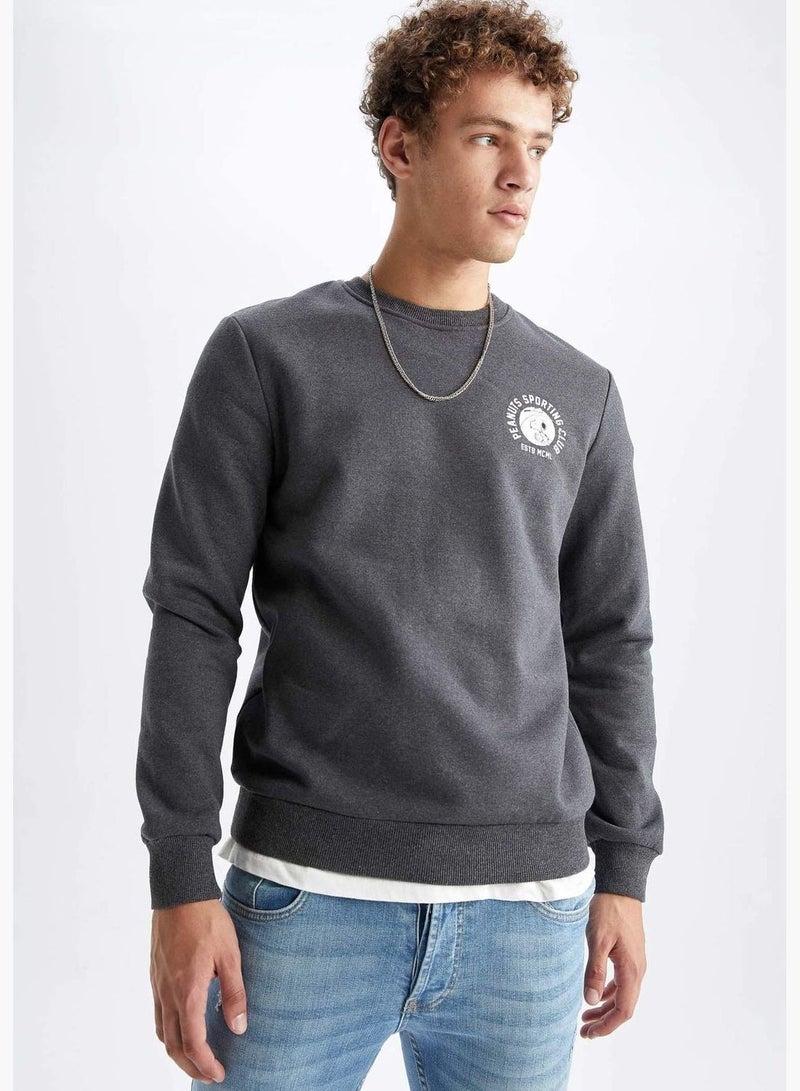 DeFacto Man Snoopy Licenced Slim Fit Crew Neck Long Sleeve Knitted Sweatshirt  - Image 3