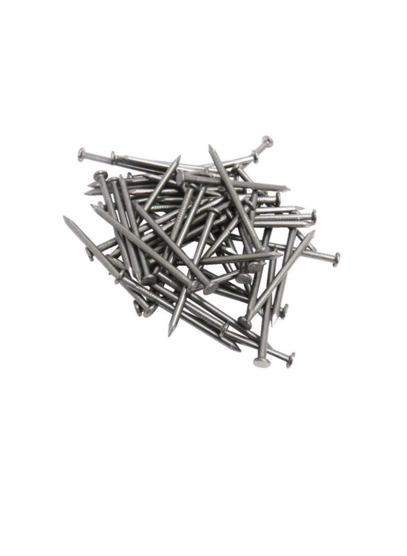 High Strength Round Head Nails For Carpentry Hardware Electrical Etc (300, 6 inch) - Image 3