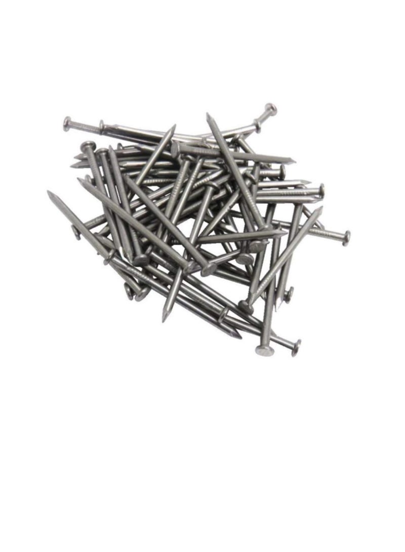 High Strength Round Head Nails For Carpentry Hardware Electrical Etc (300, 6 inch) - Image 1