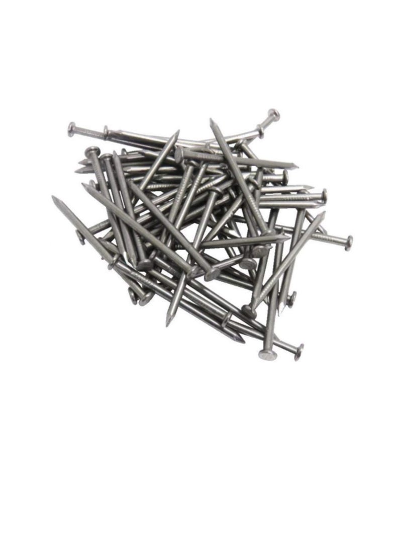 High Strength Round Head Nails For Carpentry Hardware Electrical Etc (300, 6 inch) - Image 2
