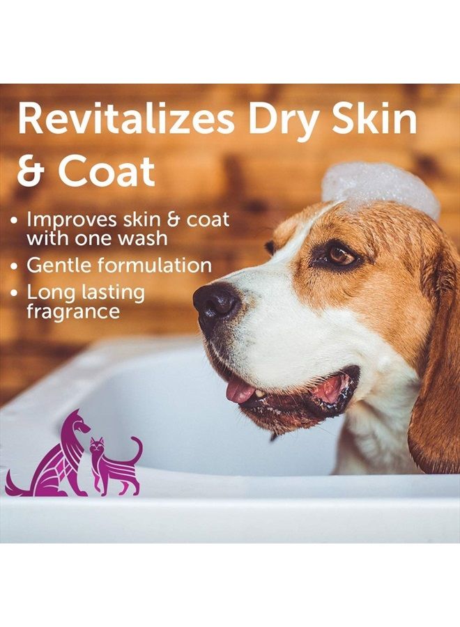 nootie Pet Shampoo for Sensitive Skin - Revitalizes Dry Skin & Coat - Natural Ingredients - Soap, Paraben & Sulfate Free - Cleans & Conditions - Image 3