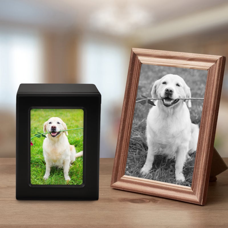 2pcs Dog Cremation Ashes Cinerary Casket Pet Bone Ashes Container Memorial Urn - Image 4