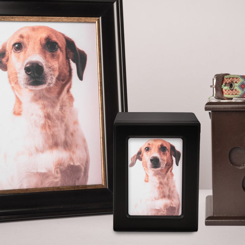 2pcs Dog Cremation Ashes Cinerary Casket Pet Bone Ashes Container Memorial Urn - Image 2