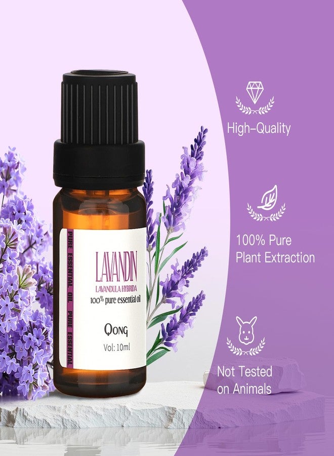 QONG Lavender Essential Oil Blend, Essential Oil, Essential Oils Organic, Used for Sleep, Hair Growth & Scalp Care, Essential Oils for Diffusers for Home 10ML - Image 5