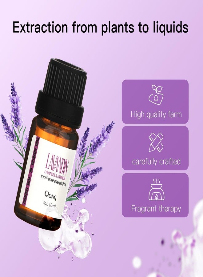 QONG Lavender Essential Oil Blend, Essential Oil, Essential Oils Organic, Used for Sleep, Hair Growth & Scalp Care, Essential Oils for Diffusers for Home 10ML - Image 3