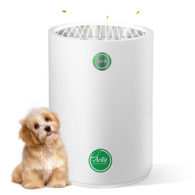 Arint Air Purifiers for Bedroom,H13 True HEPA Air Purifier with 5-Layer Filtration for Pollen/Smoke/Dust/Pet Dander/Odor/Hair,Portable Small Air Purifiers for Home/Office/Living Room(KJ80A White) - Image 1