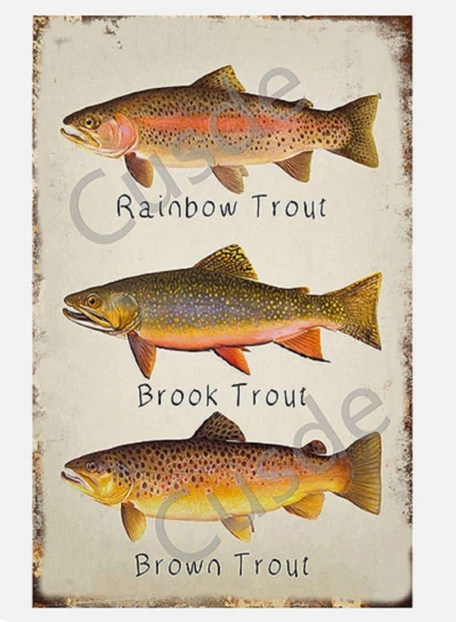 Cusde Rainbow Trout Metal Tin Sign Brook Trout Wall Art Brown Trout Vintage Retro Decoration Poster Plaques Decor Funny Novelty Garage Room Home Cafe Bar Club 8x12 Inch - Image 1