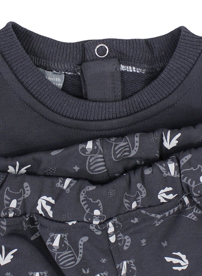 Pompelo Baby Boys Cotton 2-Piece Outfit Set – Dark Grey with “ROAR!” Print - Image 2