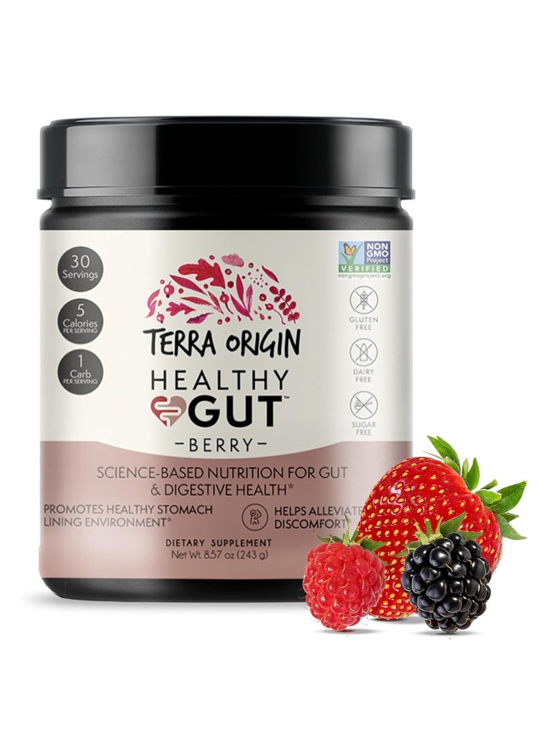 Terra Origin - TERRA ORIGIN Healthy Gut Berry with L Glutamine Zinc Glucosamine Slippery Elm Bark Marshmallow Root - Image 1