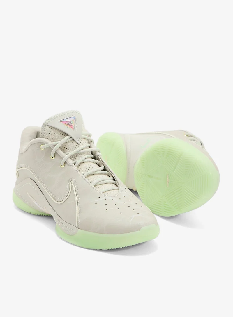 Nike Lebron Xxii