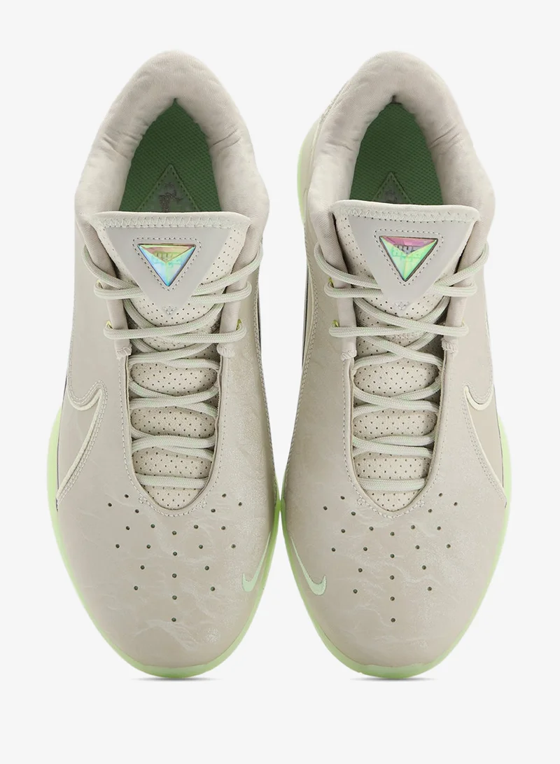 Nike Lebron Xxii