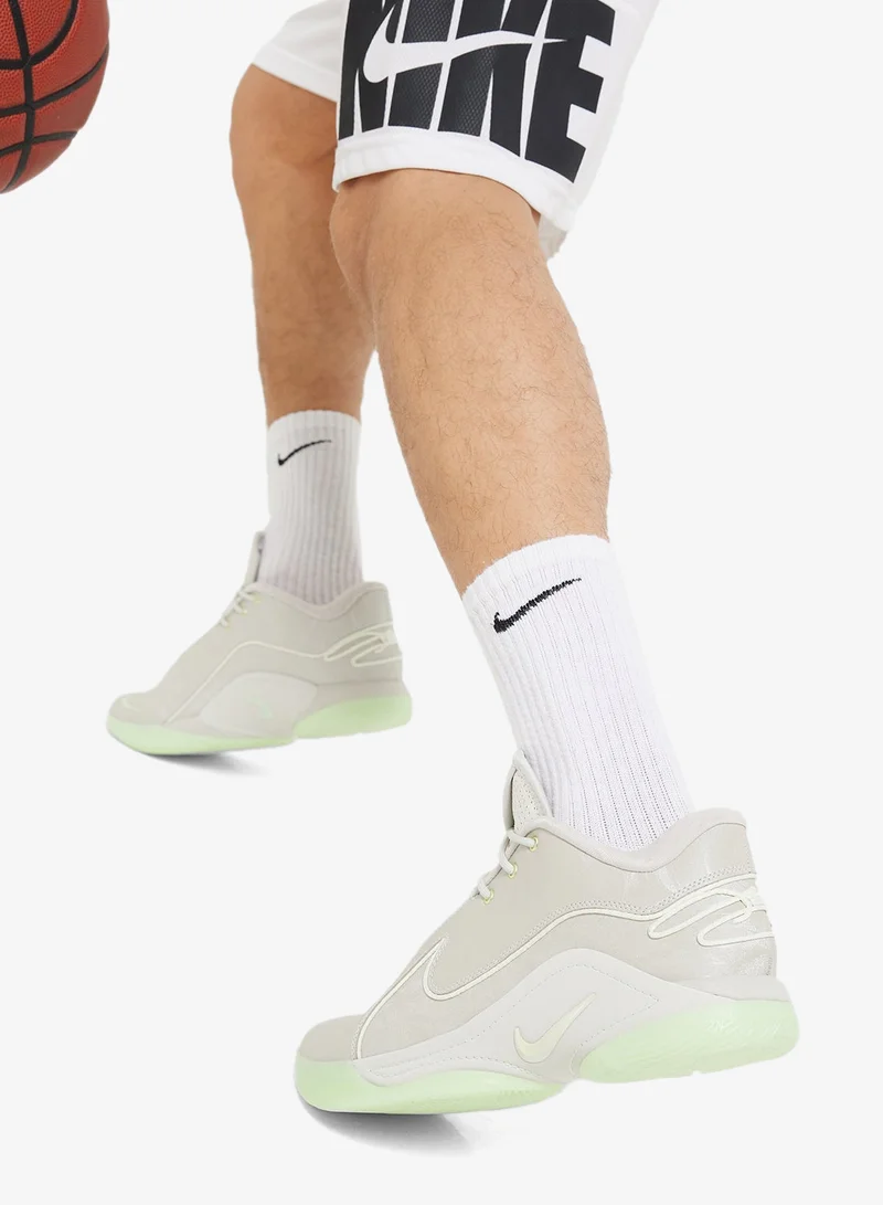 Nike Lebron Xxii
