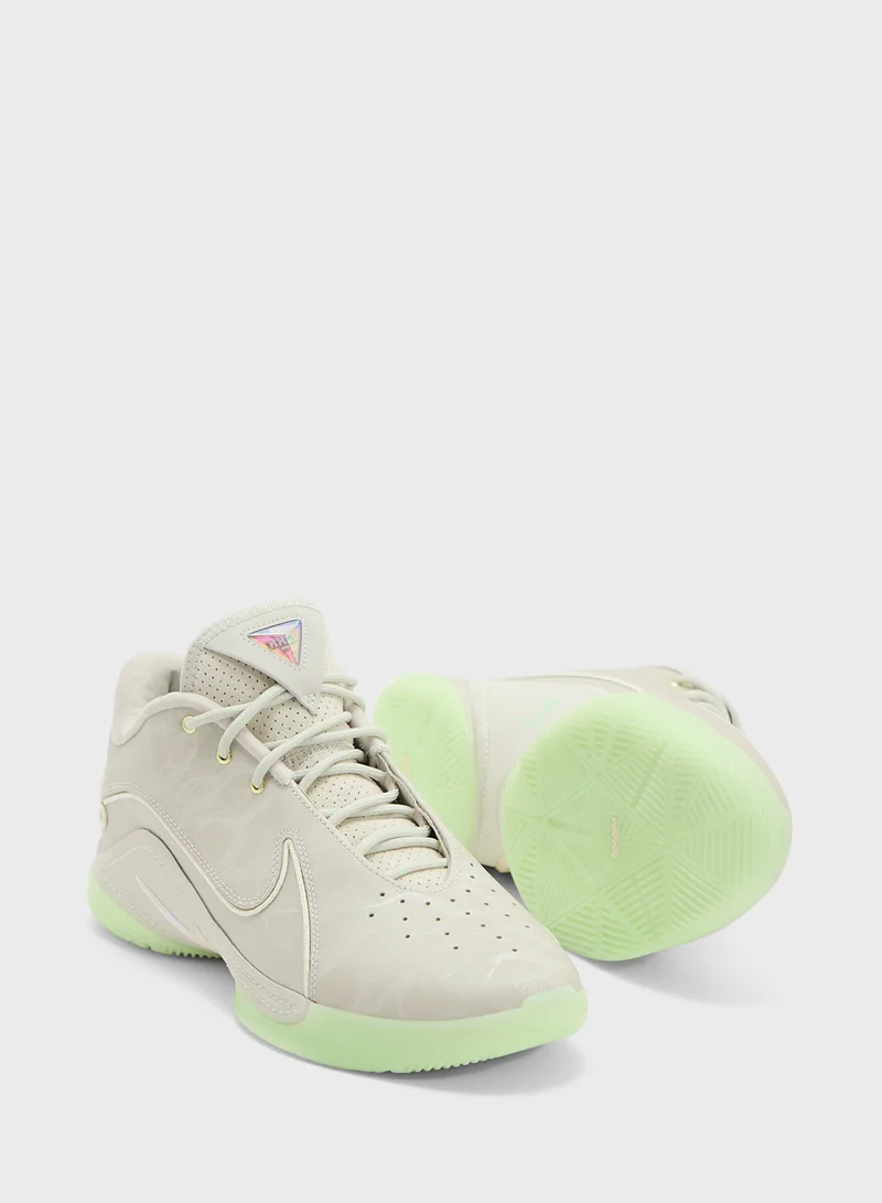 Nike Lebron Xxii
