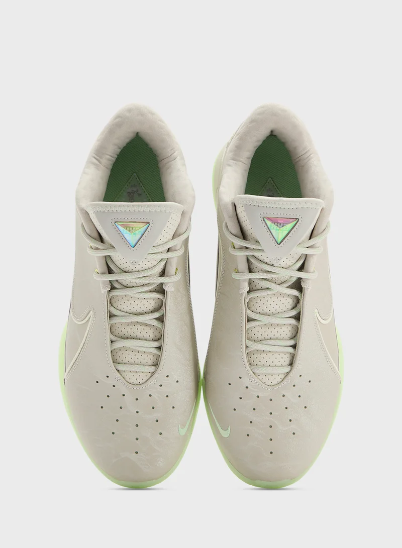 Nike Lebron Xxii