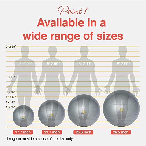 PRIMASOLE Exercise Ball for Balance Stability Fitness Workout Yoga Pilates at Home Office & Gym 65cm Silver Gray 65cm Silver Gray, 25.6 inch & 65 cm - Image 2