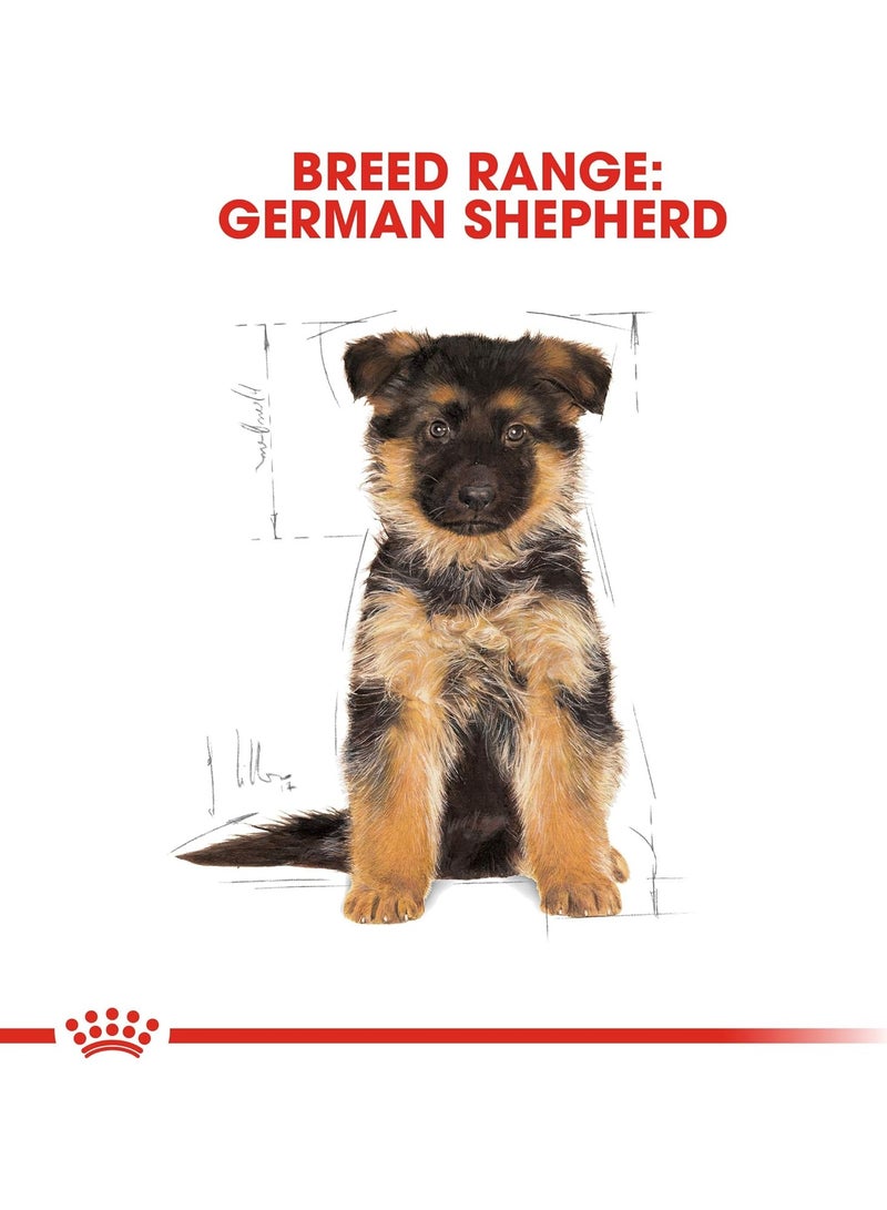 Royal Canin Breed Health Nutrition German Shepherd Puppy 3 KG - Image 5
