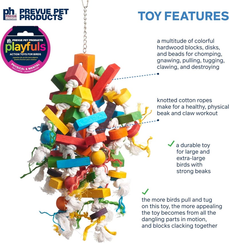 PH Prevue Hendryx Pet Products 60962 Bodacious Bites Wizard Bird Toy, Multicolor - Image 3
