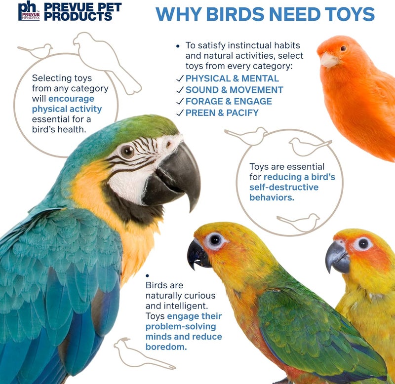PH Prevue Hendryx Pet Products 60962 Bodacious Bites Wizard Bird Toy, Multicolor - Image 5