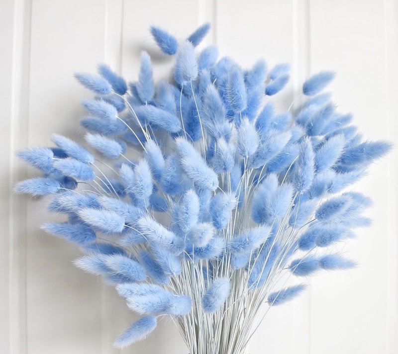CKBT 120 PCS Blue Dried Pampas Grass Decor, 17-inch Pompas Floral, Dry Flowers for Decoration, Pampas Grass in Bulk Tall, Blue Bunny Tails Dried Flowers for Boho Wedding Decor - Image 1