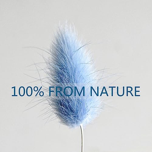 CKBT 120 PCS Blue Dried Pampas Grass Decor, 17-inch Pompas Floral, Dry Flowers for Decoration, Pampas Grass in Bulk Tall, Blue Bunny Tails Dried Flowers for Boho Wedding Decor - Image 4