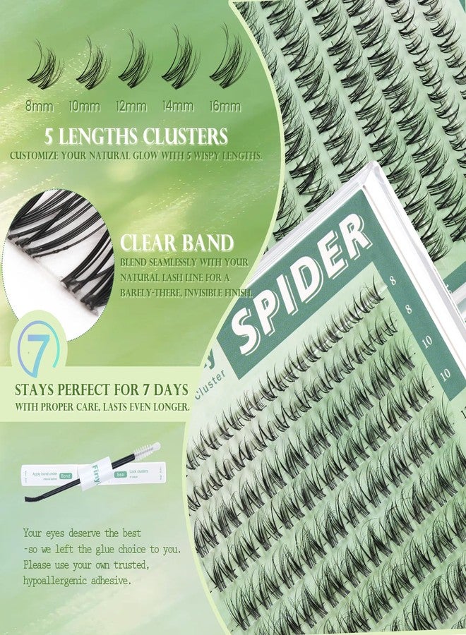 فيني دريم مجموعة رموش طبيعية عنقودية، مجموعة رموش عنقودية من نوع Spider Breeze، مجموعة رموش عنقودية خفيفة، مجموعة رموش فردية من نوع Fairy، مزيل لاصق الرموش (مجموعة العنكبوت 8-16 مم) - Image 5
