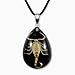REALBUG Gold Scorpion Necklace Black Small - Image 3